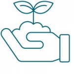 icon beratung